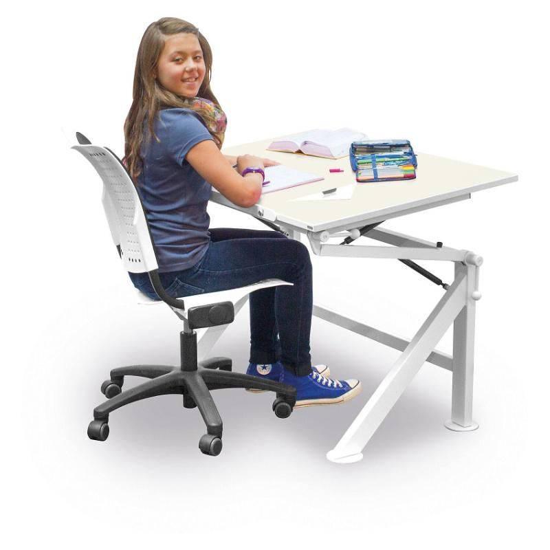 Adjustable Sit Stand Folding Table Computer Desk