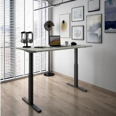 Sample Provided CE Certified Work Station 2 Legs Adjustable Table