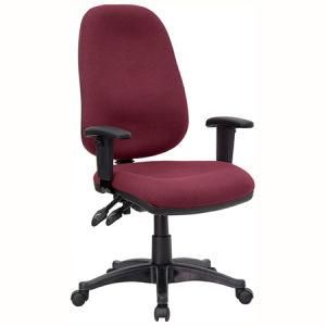 Ergonomic Computer Chair (RF-Z009B)