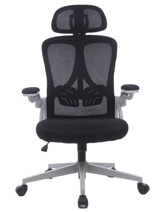 Mesh Modern Ergonomic Swivel Chair with Headrest Flip-up Armrest with Know-Down Steel Base