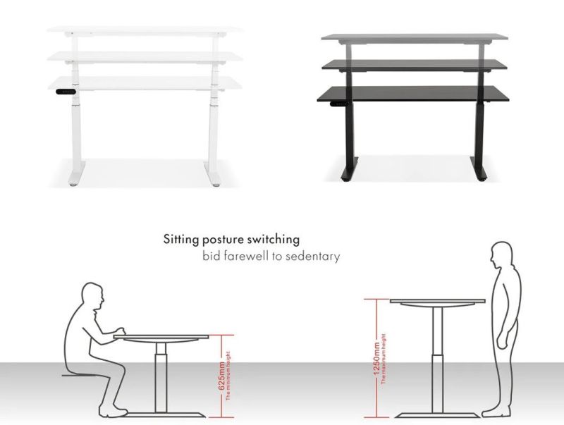 Ergonomic Sit to Stand Desk Adjustable Standing Desk Column