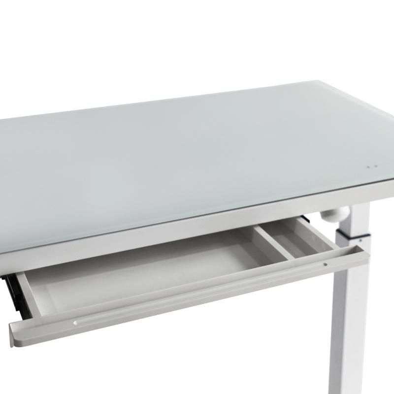 Fyed Adjustable Desk Electric