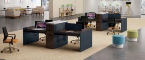 New Design Customized Workstation for Modern Office Furniture /Office Desk (Bl-ZY34)