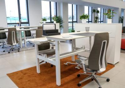 Intelligent Office Furniture Height Adjustable Modern Manager Desk Executive Computer Desk