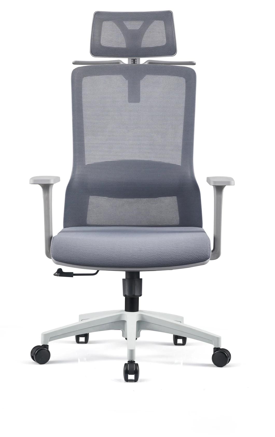 Exquisite Gray New Material and Fiber Frame Mesh Chairs with Adjustable Armrest Office Chairs 