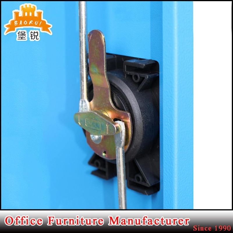 Blue Color 2 Swing Door Filing Cabinet with 4 Shelf