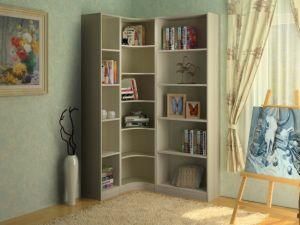 Good Design Home Furniture Book Cabinet for Bedroom (B-05)