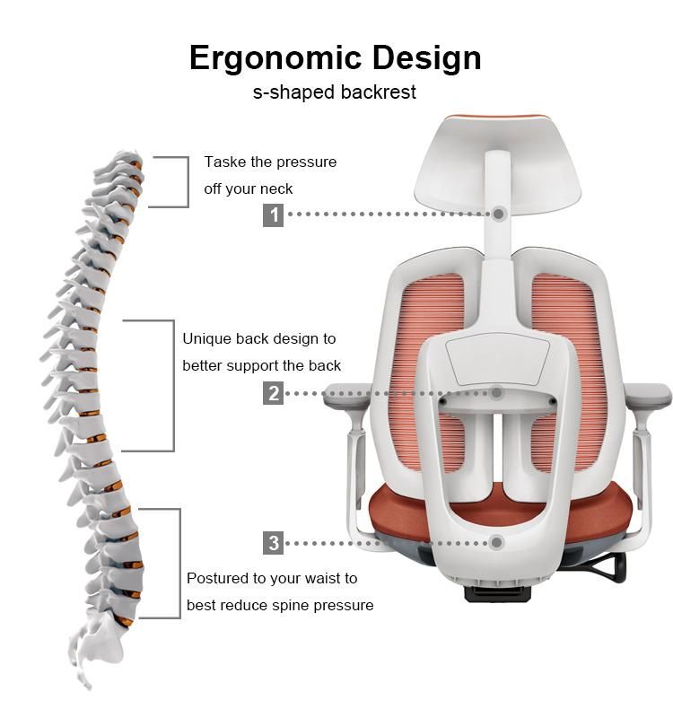 BIFMA Mesh Office Computer Chair Ergonomic Chair