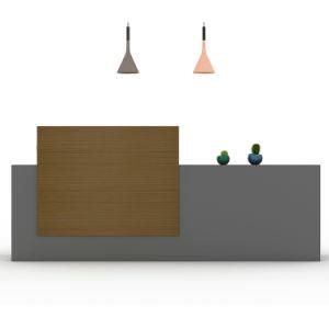 Fashion Wooden MFC Reception Desk