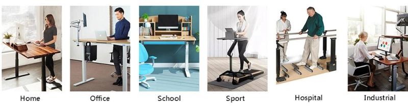 Office Desk Height Adjustable Smart Dual Motor Writing Standing Desk with USB Charging Ports