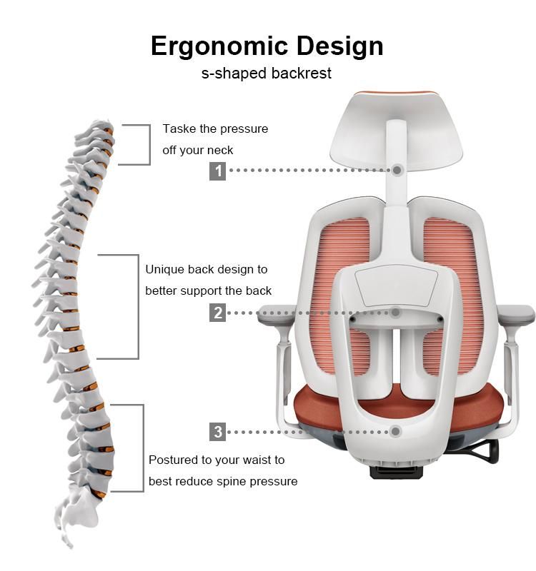 Double Back Ergonomic Chair Special Design BIFMA