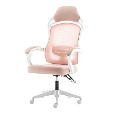 Factory Direct Supply Cheap Office Chairs Prices for Computer Chair