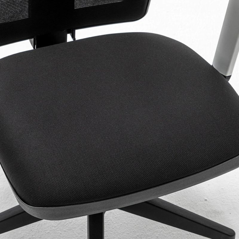 Ergonomic Home Office Chair with Adjustable Lumbar Support and Armrests, Breathable Mesh Back and Padded Seat Desk Chair