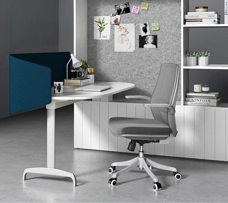 Sihoo M59b Modern Ergonomic Professional Height Adjustable Whole Mesh Office Staff Desk Executive Conference Room Meeting Chair