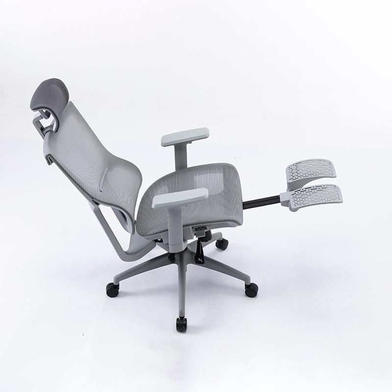 Li&Sung Ergonomic Computer Swivel Mesh Chair