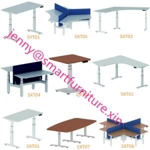 Easy Assembly Low Noise modern Creative Design Sit to Stand Desk