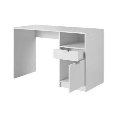 Modern Simple and Economical Home Computer Desk (HF-DA014)