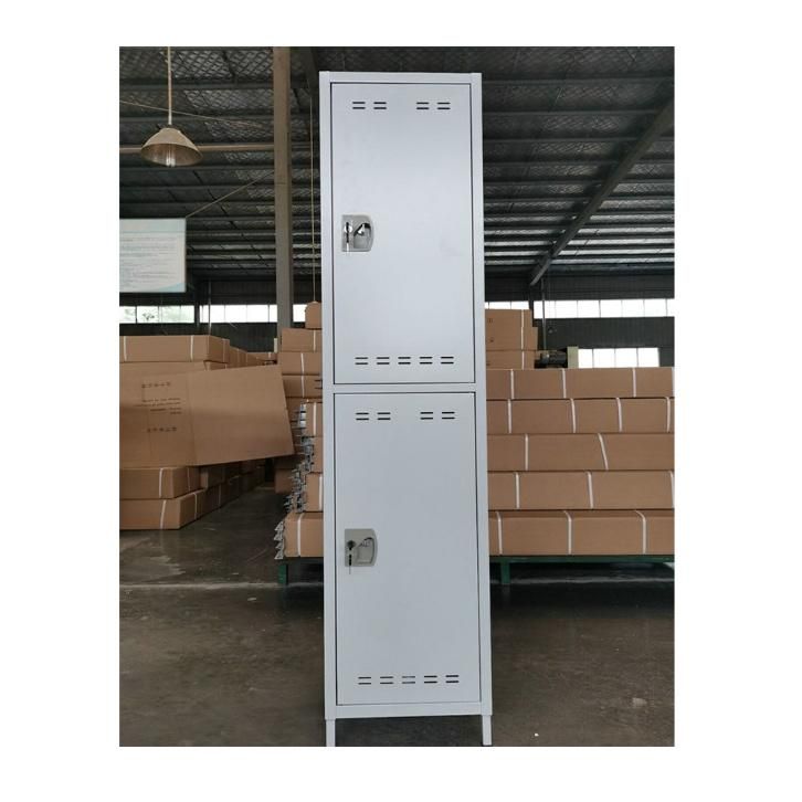 Fas-010 Luoyang Good Quality Cabinet Steel Gym Locker 2 Door Staff Steel Locker