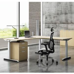 Custom Electric Height Adjustable Frame Sit Stand Office Standing Desk