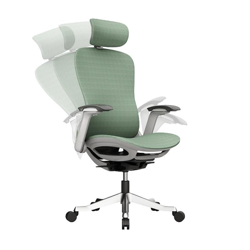 Shell Design Ergonomic Office Chair with Support