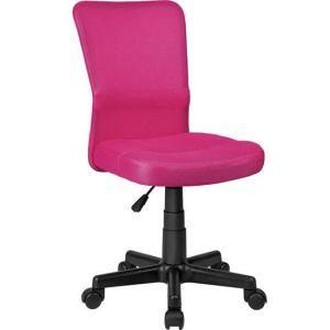 Modern Swivel Computer Office Mesh Chair Without Armrest (LS-13PK)