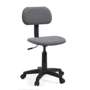 Promotional Simple Computer Home Office Staff Fabric Chair (LS-10GY)