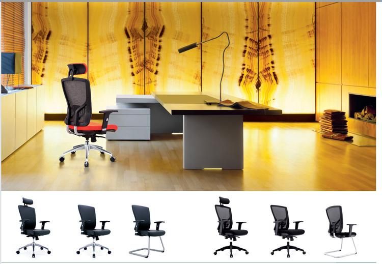 PP Back Ergonomic Task Chair with Nylon Swivel Back