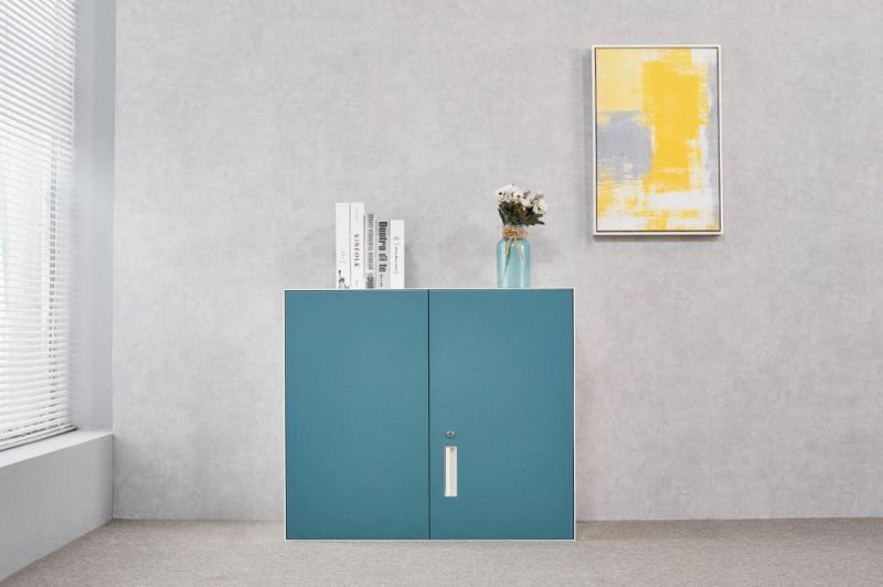 Customized Save Space Cabinet with Lock Modern Furniture