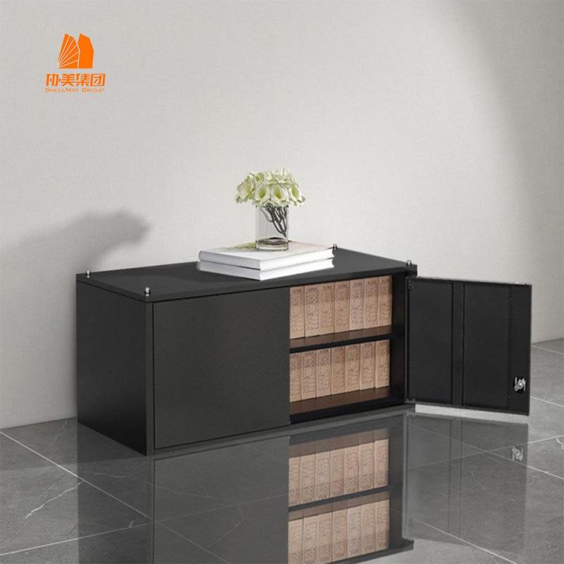 High Quality Metal Furniture 2 Door File Storage, Filing Cabinet
