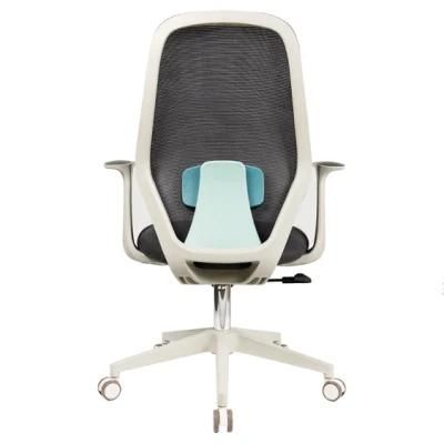 Factory Price Wholesale Lumbar Adjustment Office Mesh Chairs Grey Frame and Colorful Mesh