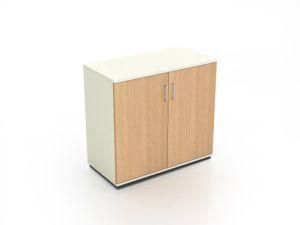 Two Doors File Wooden Cabinet in Office Room
