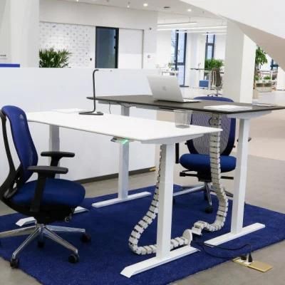 Office Furniture Mechanism Electric Height Adjustable Desk with Control Box Standing Desk Adjustable Desk Office Desk