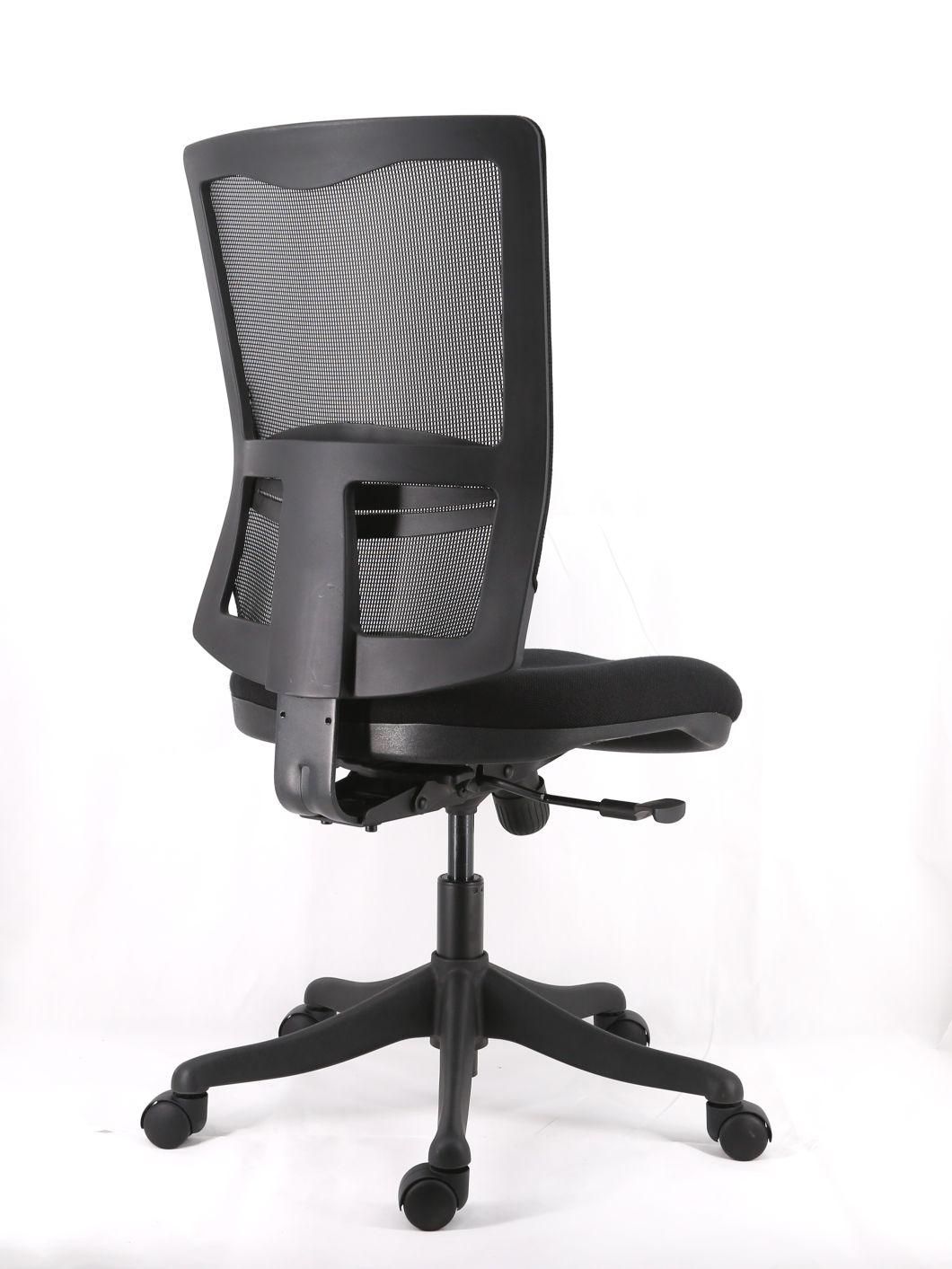 Mesh Upholstery Backrest with Lumbar Support Adjustable Armrest Simple Function Seat up and Down Mechanism Nylon Base Manger Office Chair