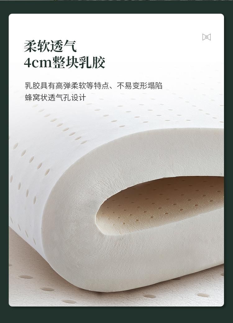 Hight Density and Additinal High Grade Latex Layer Commercial Divan with Genuine Leather