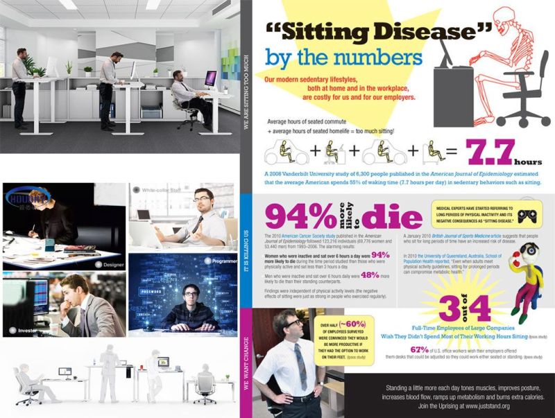 Ergonomic Sit to Stand Desk Motorized Standing Desk