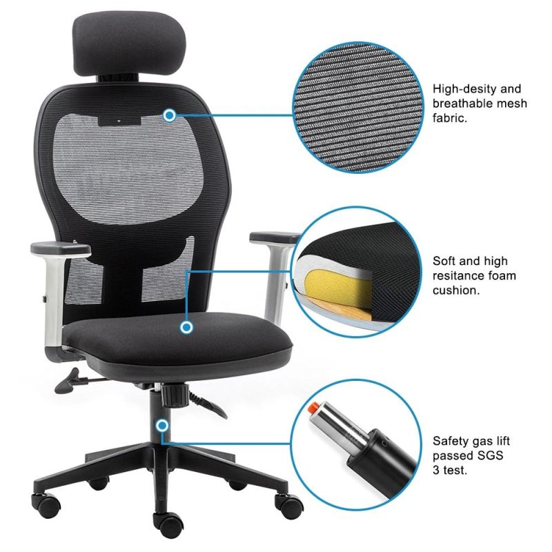 Ergonomic Home Office Chair with Adjustable Lumbar Support and Armrests, Breathable Mesh Back and Padded Seat Desk Chair