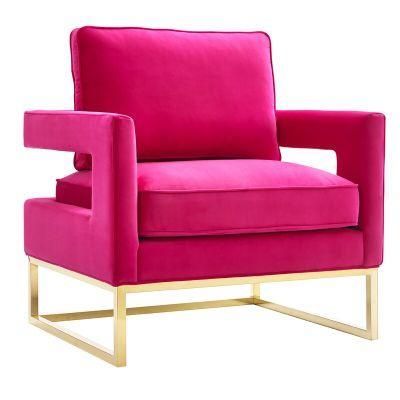 Home Furniture Lounge Sofa Chair Living Room Leisure Chair