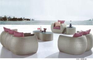 Royal Outdoor Furniture/ Rattan / Wicker Sofa Set (WF231-05)
