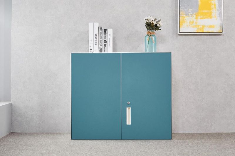 Steel Locker Filing Cabinet with Swing Door