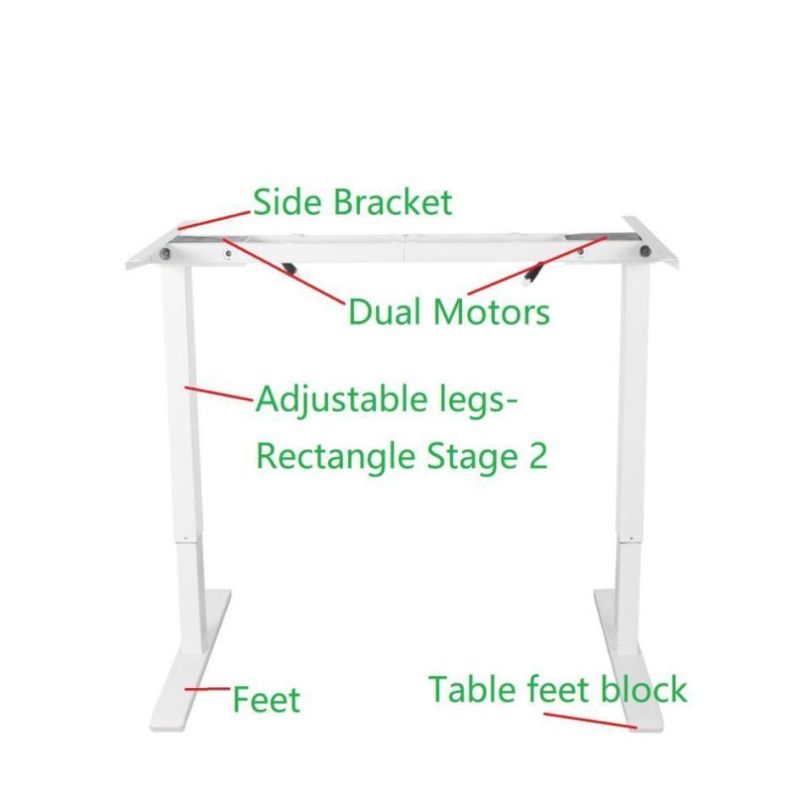 Low Niose High Performance Powder Coated Furniture 4 Legs Standing Desk