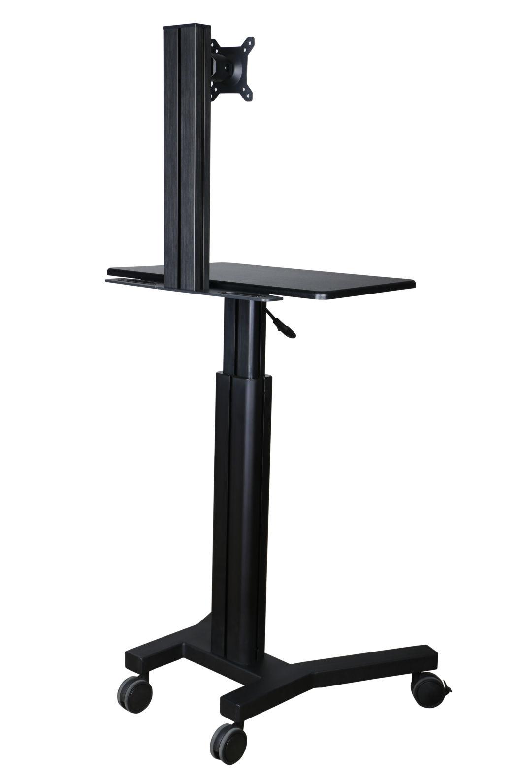 Gas Lift Mobile Computer Workstation with Monitor 10-24" (GAS 1601A)