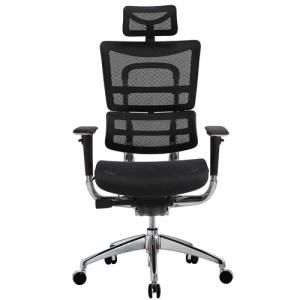 Lifting Swivel Ergonomic Office Chair with Armrest-Pho-801