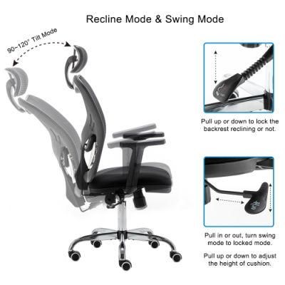 Ergonomic Office Chair with Adjustable Lumbar Support and Armrests