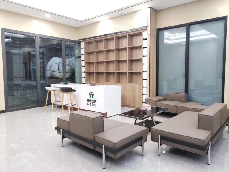 Zode Modern Home/Living Room/Office Furniture Modular Sofa Reclinable Sofa Chair Leisure Sectional Sofa Set