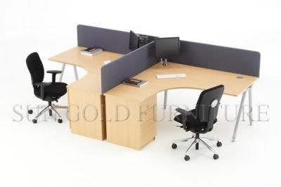 Competitive Price Steel Foot Office Workstation with Desktop Partition (SZ-WS302)