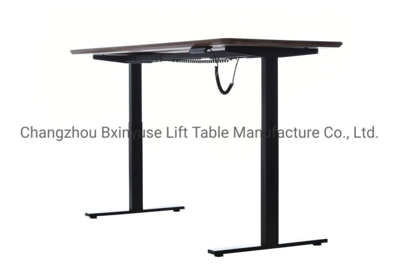 Dual Motors Height Adjustable Desk Office Table