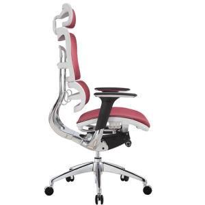 Executive Office Chair-Dl-801y