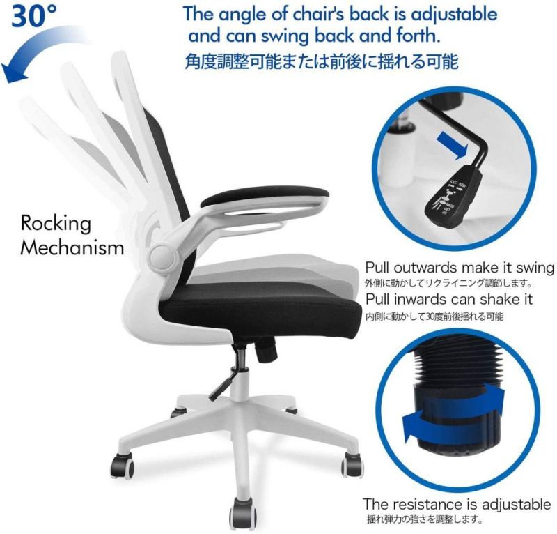 Li&Sung 10042 Ergonomic Swivel Lumbar Office Chair