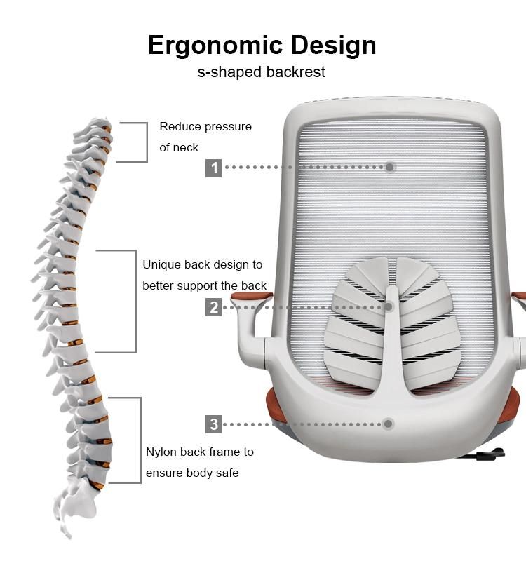 Swivel Office Chair Ergonomic Adjustable Chair Office Furniture Staff Office Chair