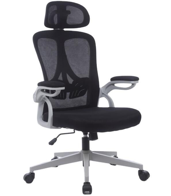 Mesh Modern Ergonomic Swivel Chair with Headrest Flip-up Armrest with Know-Down Steel Base